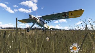 Screenshot 33 — Fieseler Fi 156 Storch