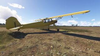 Screenshot 19 — Fieseler Fi 156 Storch