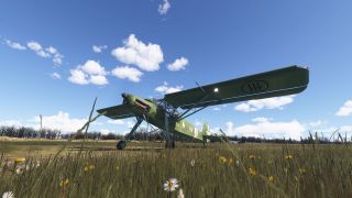 Screenshot 39 — Fieseler Fi 156 Storch