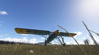 Screenshot 42 — Fieseler Fi 156 Storch