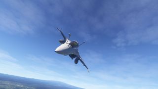 Screenshot 45 — Dassault Rafale M