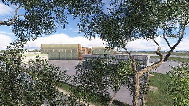 Several large hangars and airport buildings are visible beyond leafy tree branches, with a runway and open sky in the background.