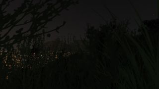 Dense grass and silhouetted branches partially obscure distant city lights and a mountain ridge beneath a dark night sky.
