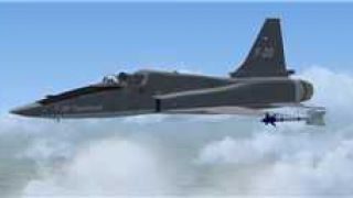 Screenshot 9 — Northrop F-20 Tigershark Package