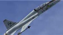 Screenshot 10 — Northrop F-20 Tigershark Package