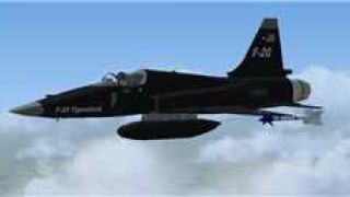 Screenshot 8 — Northrop F-20 Tigershark Package