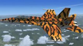 Screenshot 6 — Fictional Tigerskin F/A-18 Hornet