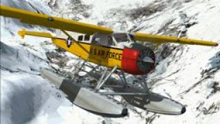 Screenshot 3 — USAF DeHavilland DHC-2 Beaver