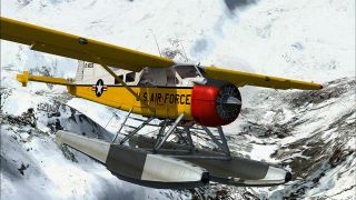 Screenshot 2 — USAF DeHavilland DHC-2 Beaver