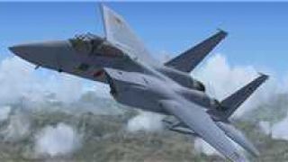 Screenshot 8 — F-15J Package
