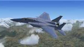 Screenshot 9 — F-15J Package