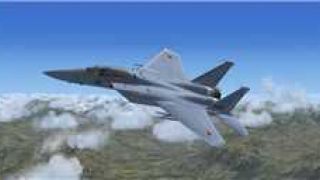 Screenshot 11 — F-15J Package