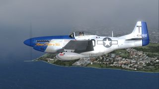 Screenshot 1 — P-51D 'Slender, Tender and Tall'