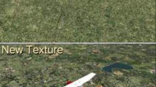 Screenshot 2 — Grass And Trees
