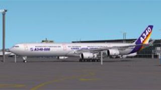 Screenshot 16 — Airbus A340-600 Package