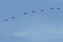 Related screenshot