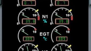 Screenshot 23 — Airbus A320 Panel