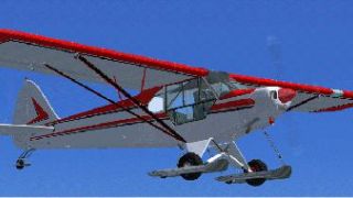 Screenshot 4 — Piper PA18 Super Cub
