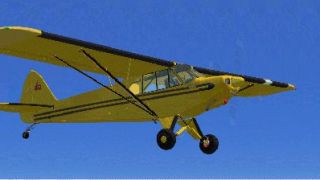 Screenshot 5 — Piper PA18 Super Cub