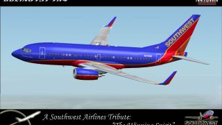 Screenshot 8 — Southwest Airlines Boeing 737-700