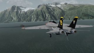 Screenshot 22 — Grumman F-14D Tomcat Mega Pack