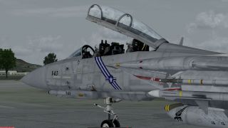 Screenshot 35 — Grumman F-14D Tomcat Mega Pack