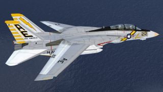 Screenshot 59 — Grumman F-14D Tomcat Mega Pack