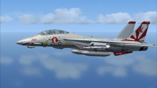Screenshot 57 — Grumman F-14D Tomcat Mega Pack