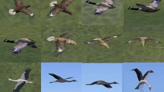 Screenshot 6 — Rwy12 Object Placer Complete Scenery Library v1.2