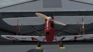 Screenshot 34 — De Havilland DH82a Tiger Moth