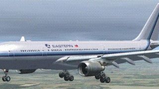 Screenshot 4 — Eastern Airlines Airbus A330-200