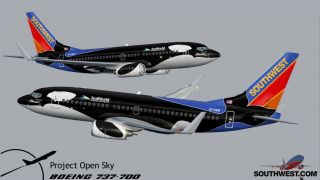 Screenshot 5 — Southwest Boeing 737 (no eyebrows)