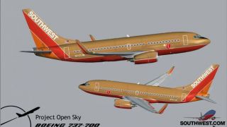 Screenshot 9 — Southwest Boeing 737 (no eyebrows)