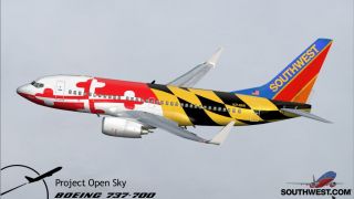 Screenshot 7 — Southwest Boeing 737 (no eyebrows)