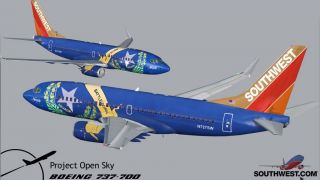 Screenshot 3 — Southwest Boeing 737 (no eyebrows)