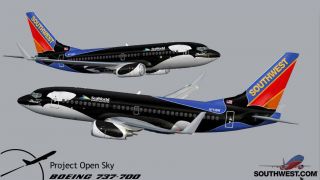 Screenshot 6 — Southwest Boeing 737 (no eyebrows)