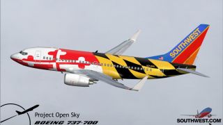 Screenshot 8 — Southwest Boeing 737 (no eyebrows)