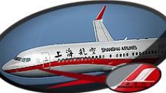 Screenshot 9 — Shanghai Airlines Boeing 737-800