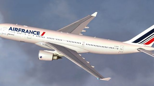 Screenshot 1 — Air France Airbus A330-200 (new livery)