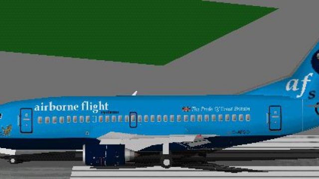 Screenshot 1 — Airborn Flight Systems 737 500