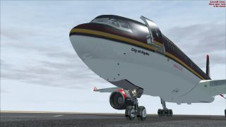 Screenshot 2 — Royal Jordanian Airbus A330-200
