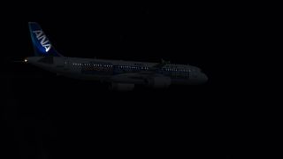 Screenshot 3 — ANA SP Airbus A321