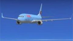 Screenshot 4 — Neos Boeing 737-800 v2