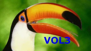 Screenshot 2 — Birds Volume 3 Big Mamma