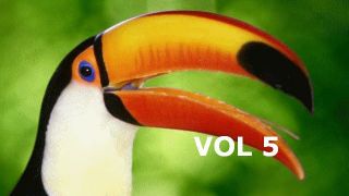 Screenshot 4 — Birds Volume 5