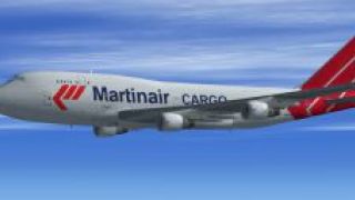 Screenshot 29 — Boeing 747-400 Multi Textures Package