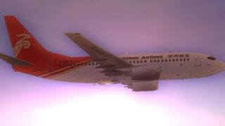 Screenshot 4 — Shenzhen Airlines Boeing 737-700 B-2667