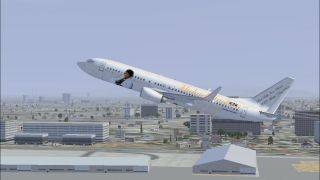Screenshot 3 — Michael Jackson Boeing 737-800