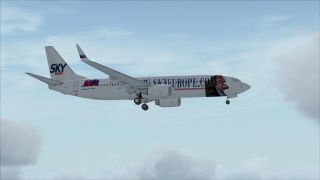 Screenshot 20 — Skyeurope Boeing 737-800