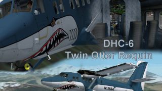 Screenshot 1 — FS 2004 DHC-6 , Twin Otter , Reqiun